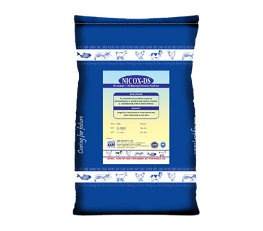 product10_img