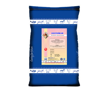product11_img