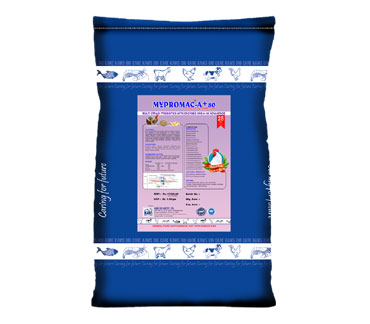 product15_img
