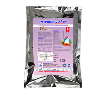 product16_img