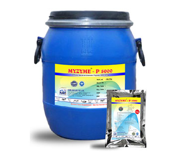 product17_img