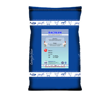 product19_img