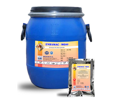 product21_img