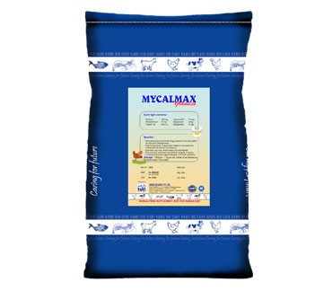product24_img
