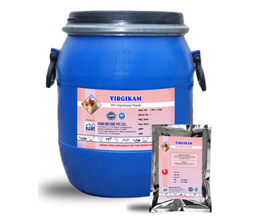 product26_img