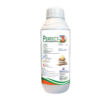 product29_img