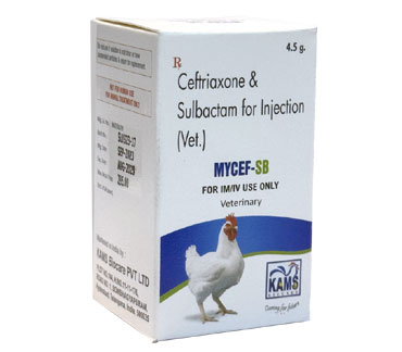 product3_img