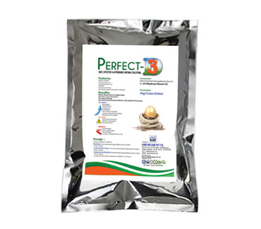 product31_img