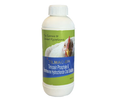 product5_img