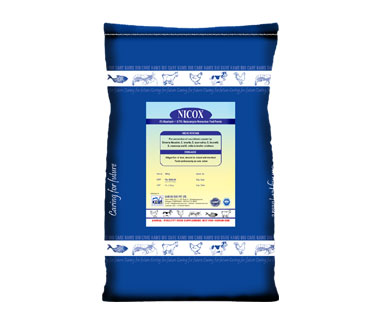 product9_img